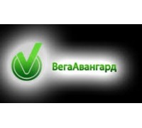 Компания ВегаАвангард