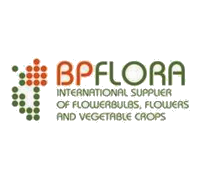 Компания BPFlora