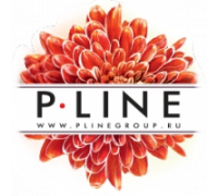 PlineGroup