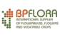 Компания BPFlora