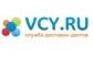 Vcy.ru