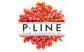 PlineGroup